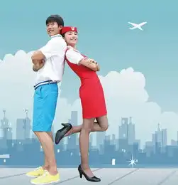 和空姐一起的日子故事简介
