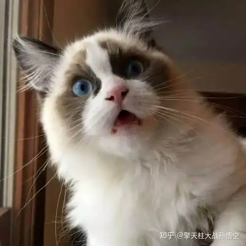 和药顺是什么