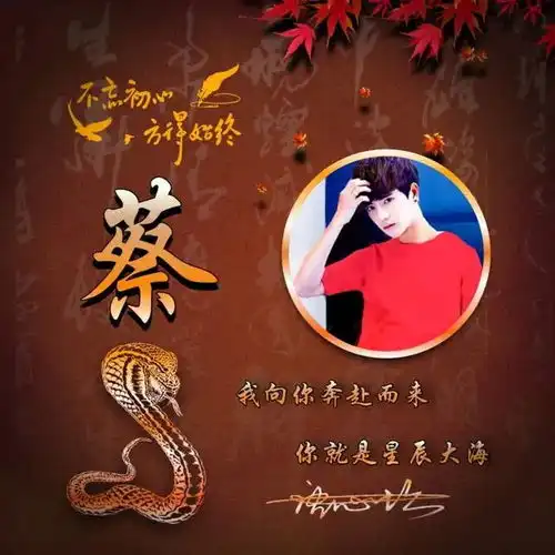 你该换个微信头像了,十二生肖励志签名头像,换个头像换个好心情