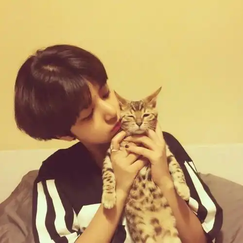 国庆假期把猫独自放家,回来后猫咪竟这样...