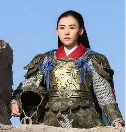 杨业一共七个儿子,杨门女将为何会有十二妇之说十二妇都有谁