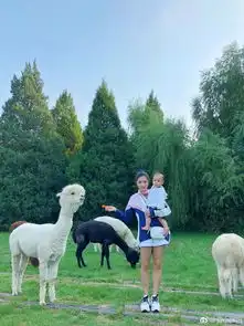 奥运冠军何姿晒女儿近照,1岁的小盒子越来越像爸爸了