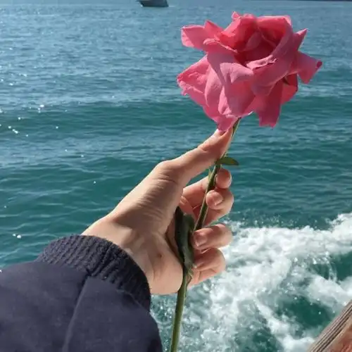 长期不换微信头像的人,往往是以下几种心态很准