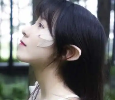 无标题
