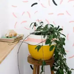 花友们,你是不是在找这样的花盆