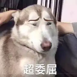 看腻杰克苏男主,突然爱上贪财好色的他
