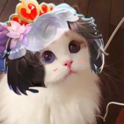 如果可以,你愿意当明星吗