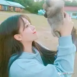 抱猫头像,微信头像女高清