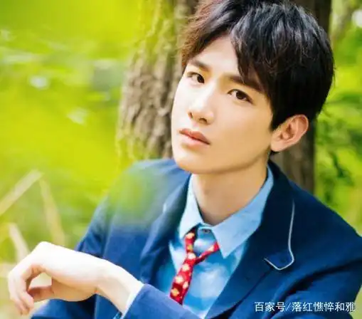 白敬亭的学历,魏大勋的学历,宋威龙的学历,网友差距一目了然
