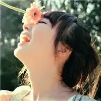 飞乐鸟彩铅