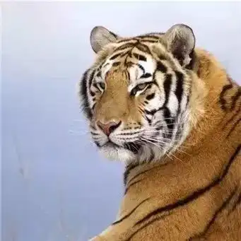 前所未有中国要把2的国土空间主动让给