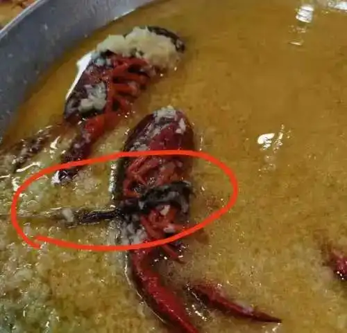 榆林女子在小龙虾馆吃出一团黑色不明物体商家仍坚持让其付款