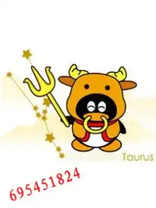 金牛座男生有什么性格特点