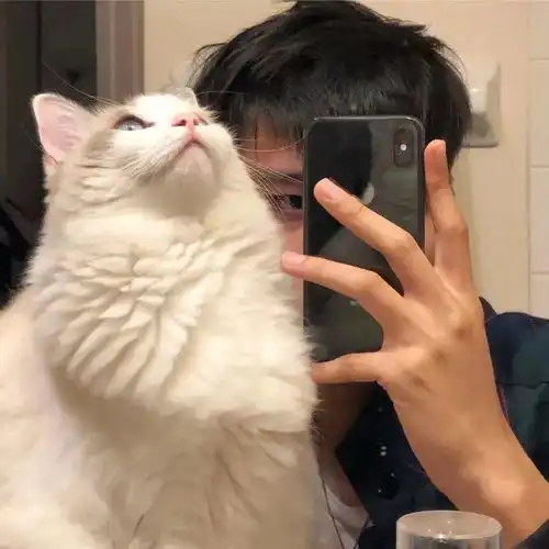 念念不忘必有回响
