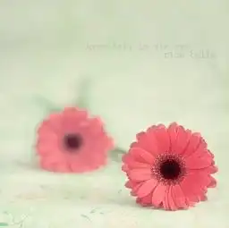 向天使悔过