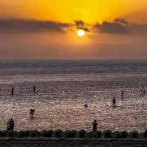 上海临港海边看日出太火上千辆车挤得无法动弹,有人通宵等候
