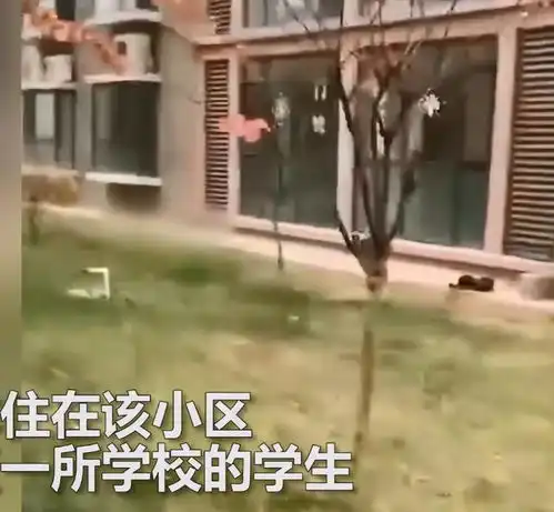 河北13岁女生穿着校服跳楼身亡,疑因父母闹离婚,心理压力大