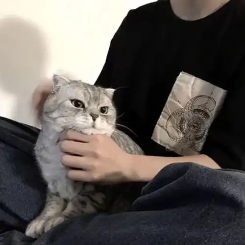 超级好看的男生头像第一期
