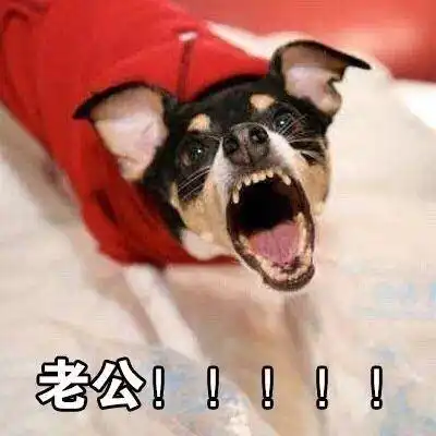 幽默段子笑话今天找喜欢的女生聊天,她说我嘴里都是蒜味,就把电话挂了