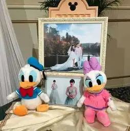 少女心福原爱夫妇东京迪士尼举办第二场婚礼图