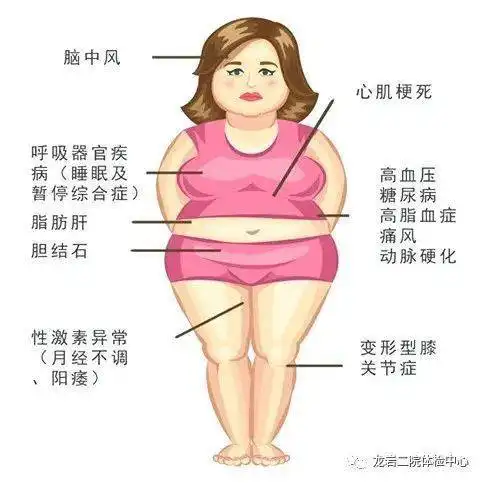 肥胖重多危害
