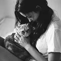 喜欢用猫当头像的女生