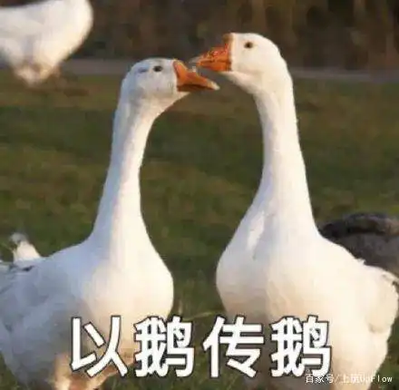 为了搞钱,全深圳都在以鹅传鹅