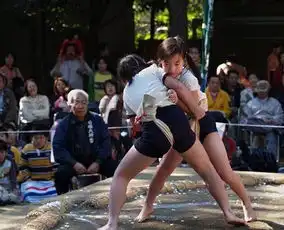 揭秘日本女子相扑小女孩裸半身厮杀高清组图