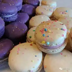 美食美色