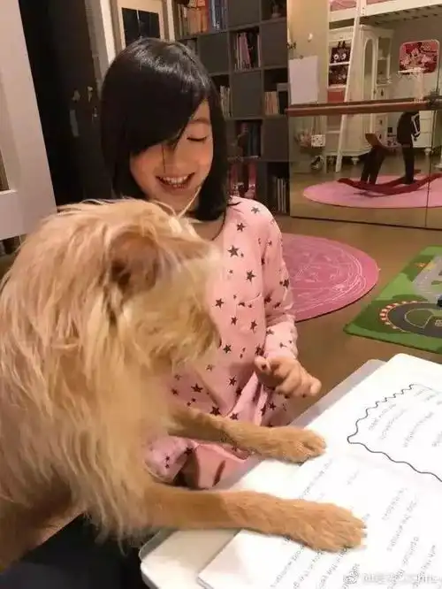 星二代贝儿多多夏天这美甲充满少女心贾乃亮成甜馨专属美甲师