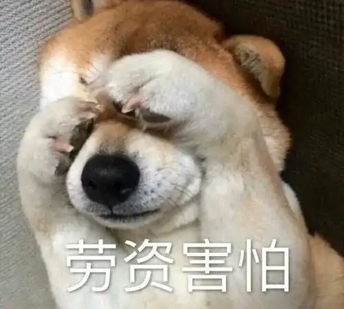 全国小孩打疫苗逃命现场曝光漂亮女人果然都是骗人的哈哈哈哈哈