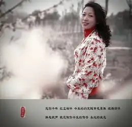 阳春三月丽人归一怀柔情到白头