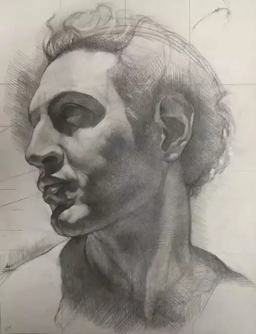 素描结构决定着画面物体的内部核心,美术生们认同么