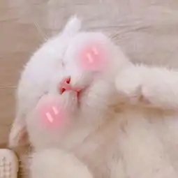 求推荐甜文文笔好,不脑残