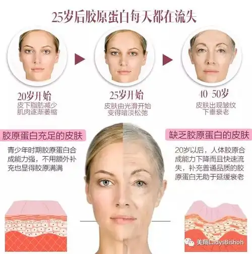 干货胶原蛋白真的能让你永葆18岁吗