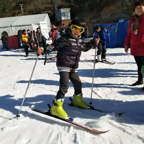 2月3日大别山滑雪乐园东林大佛醉石温泉两日游特惠568元