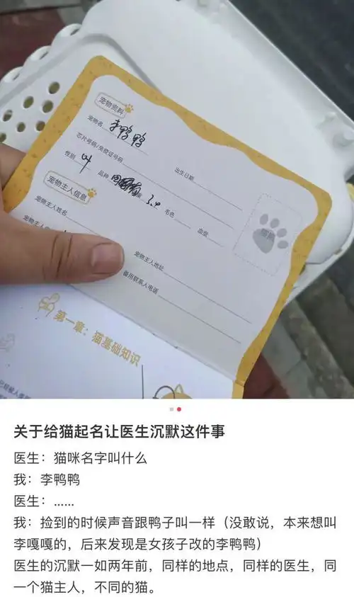 关于给猫起名让医生沉默这事,铲屎官猫姓孙名八戒,随悟空姓