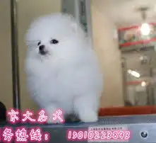 黄页88高清图片