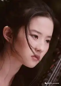 刘亦菲的脸,一定花费了上帝很多心血,真神仙姐姐