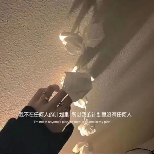 关于你们,你觉得最遗憾的是