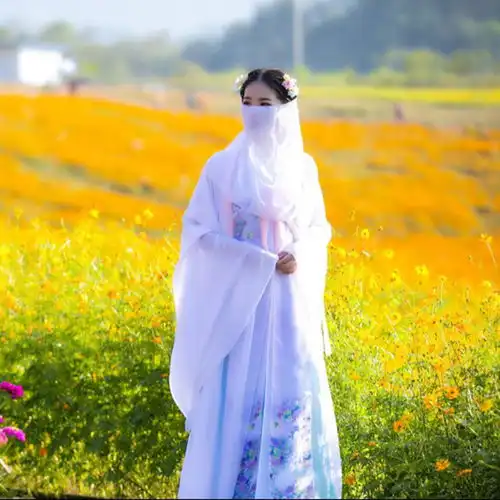 汉服女古装衣服女长款学生古风仙女日常儒裙女套装襦裙大袖女汉服