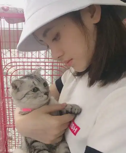 鞠婧祎喜欢的动物类型介绍,鞠婧祎家养的猫是什么品种