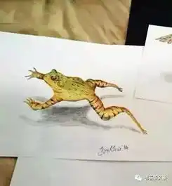 南非小女孩铅笔画的3d动物,超可爱