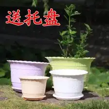 新材花盆
