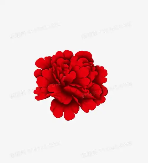 红色牡丹花图片免费下载png素材编号vd9imm7rw图精灵