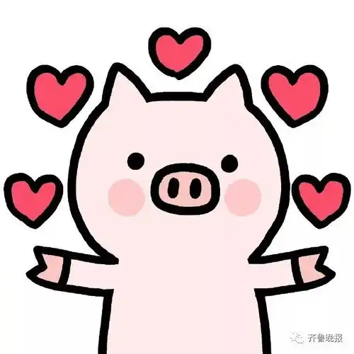 可在全省坐公交坐地铁聊城公交一卡通要发新卡啦