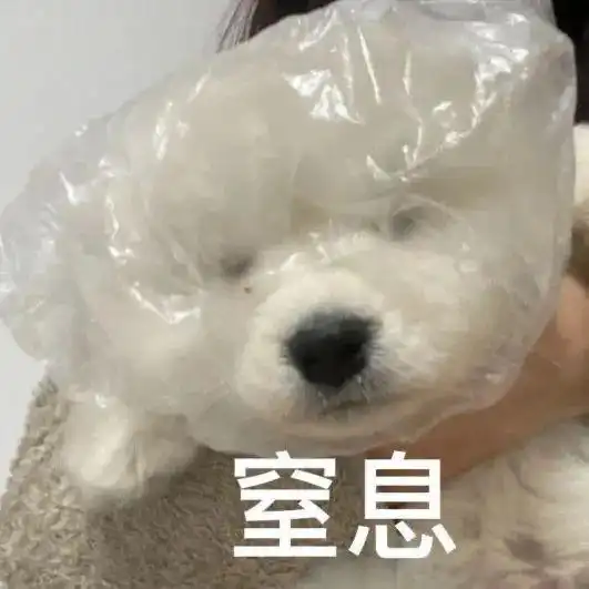 今天局地有阵雨,热度只增不减,最高温3135