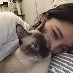 女生头像你喜欢的都在这里