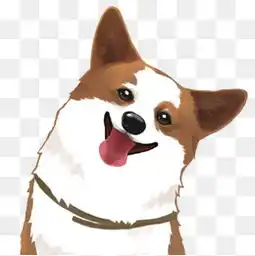 免费下载柯基卡通图片大全千库网png