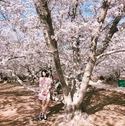 大连游记